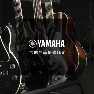 吉他、贝斯和音箱