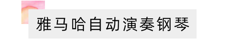 活动报道 | 远程艺术教育大师课活动——狗万特邀艺术家张奕明大师课