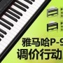 狗万P-95数码钢琴，调价行动即日展开 